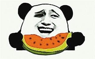 吃瓜群众舔屏吐彩虹,揭秘网络热点的魅力与争议