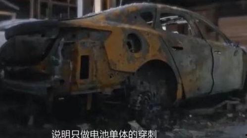 比亚迪吃瓜大战,一场舆论风波背后的真相与反思