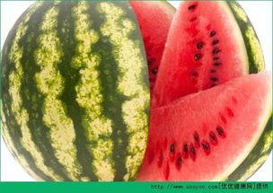 天天跟瓜打交道每日吃瓜,跟随“天天吃瓜”探索娱乐圈风云变幻