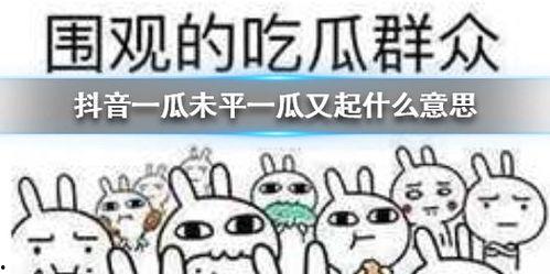 抖音吃瓜答题,揭秘热门事件背后的真相