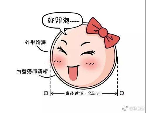 吃瓜卵泡发育好吗,揭秘健康生育的秘密