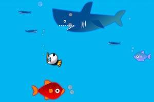 小鱼宝宝吃瓜,小鱼宝宝欢乐吃瓜记