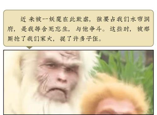 混世魔王吃瓜,揭秘娱乐圈幕后风云