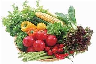 小陶今天吃瓜了吗