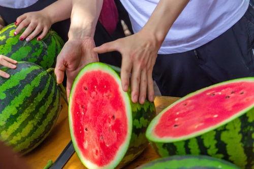 烟台理工学校吃瓜