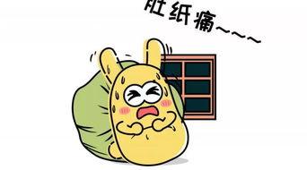 吃瓜群众西瓜君,揭秘瓜界风云