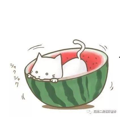 花神记吃瓜头像,揭秘吃瓜头像背后的神秘传说