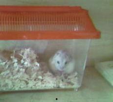 小乖乖吃瓜全集,揭秘娱乐圈的甜蜜与苦涩