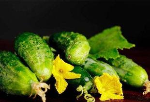 糖人吃茄瓜,甜蜜创意美食新体验