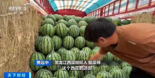 自由基地吃瓜小组,揭秘娱乐圈幕后风云