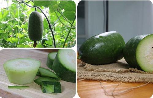 自己家里的吃瓜,品味生活甜蜜滋味