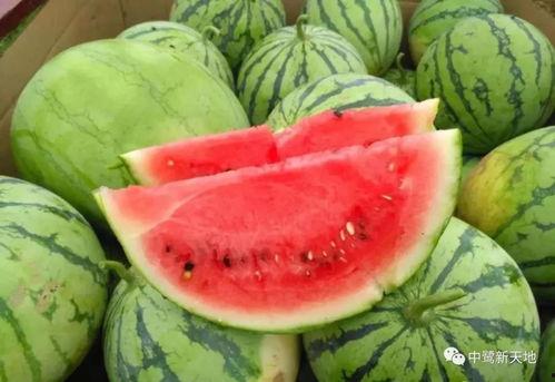 口水吃瓜,揭秘娱乐圈的甜蜜与苦涩