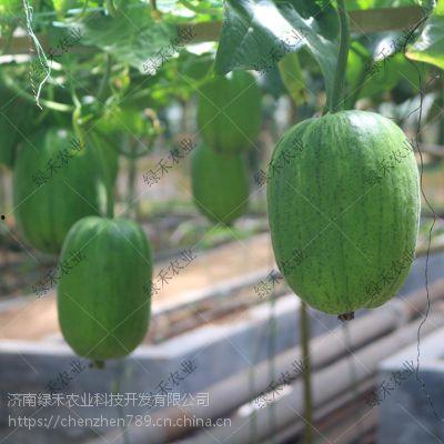 山东工商吃瓜,吃瓜群众揭秘幕后真相