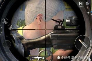 燕双鹰带你吃瓜,揭秘娱乐圈那些事儿