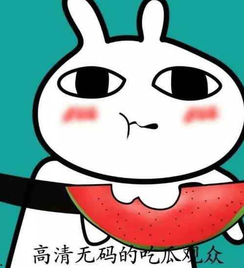 吃瓜路人表情头像图,揭秘网络社交中的“围观”文化