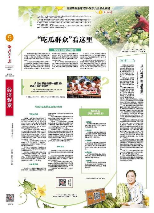 吃瓜日报免费观看全集,免费畅享全集，揭秘娱乐圈幕后风云