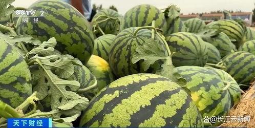 小众吃瓜聚集地,揭秘网络小众吃瓜聚集地的神秘魅力