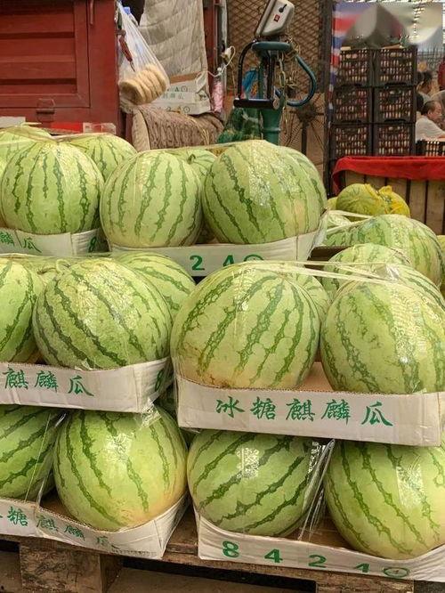 吃瓜扫一扫,揭秘娱乐圈幕后故事