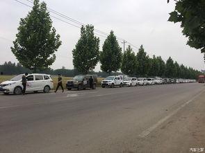 曹县最新吃瓜事件,揭秘网络热议背后的真相