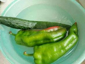 给你吃辣瓜,揭秘“吃辣瓜”的独特魅力