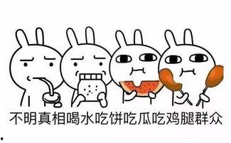吃瓜群众名字搞笑,揭秘吃瓜群众那些搞笑瞬间