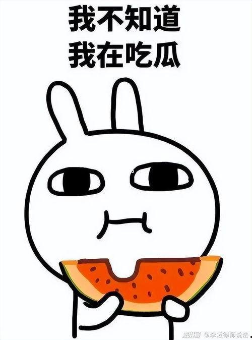 阿呆带你吃瓜,揭秘娱乐圈那些事儿