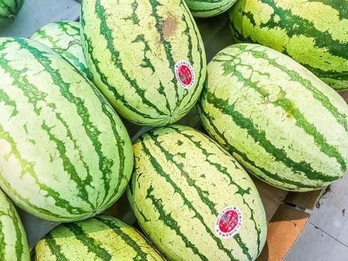 4月瓜怎么吃,4月瓜果的多彩食法探索