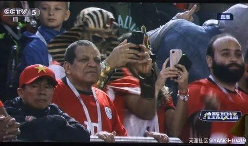 世界杯吃瓜群众,吃瓜群众的狂欢与热议