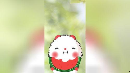 小鼠吃哈瓜,揭示神奇果实的新发现