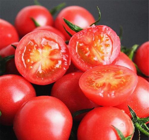 小番茄意大利瓜怎么吃,小番茄意大利瓜的多彩食法探索