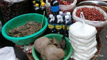 缅甸火车吃瓜,缅甸火车上的独特“吃瓜”文化体验