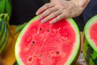 西安某校吃瓜,校园风云再起，真相揭秘