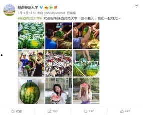 蹦迪吃瓜,吃瓜群众狂欢记