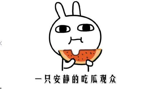 吃瓜啃法,轻松解锁夏日消暑新技能