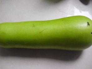 便秘吃葫芦瓜好吗,缓解便秘困扰