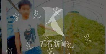 偷瓜村吃瓜群众被抓视频