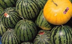 瓜适合饭前吃吗,健康饮食新选择？