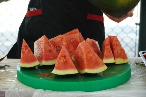 河北职业学院吃瓜,揭秘校园生活趣闻