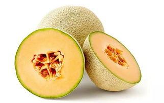 南九吃瓜,揭秘娱乐圈那些不为人知的幕后故事