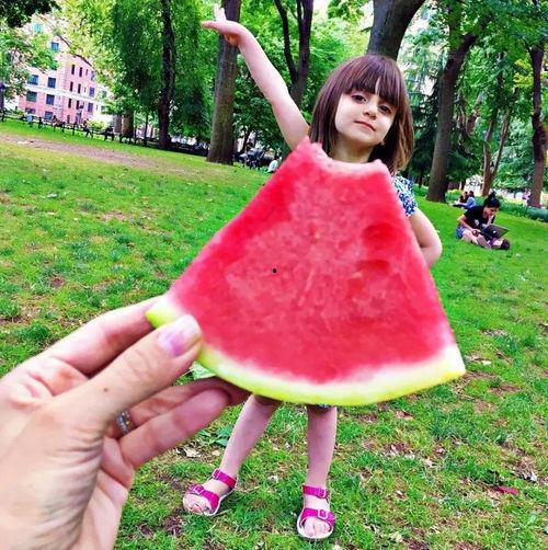 开朗的吃瓜朋友,开朗吃瓜友的欢乐瓜界探险记