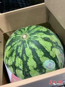 吃瓜盟主汉人,揭秘汉人背后的传奇故事