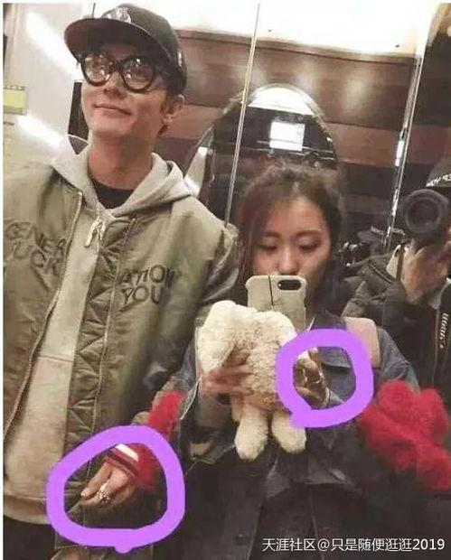 吃瓜料曝光事件,揭秘娱乐圈背后的真相与争议