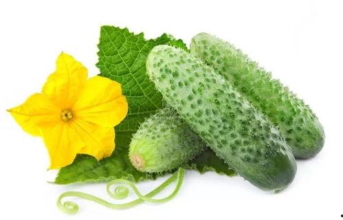 吃瓜系统季昕,揭秘娱乐圈背后的秘密与真相