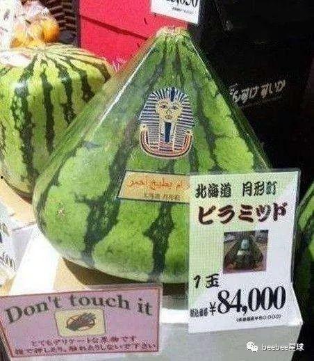 中国吃瓜群众影像,网络时代的全民娱乐观察