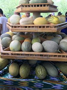 新疆高清吃瓜,一场视觉盛宴的美食之旅
