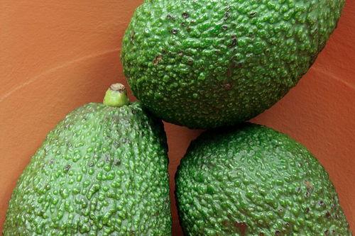 小豆吃哈密瓜,甜蜜滋味与成长故事