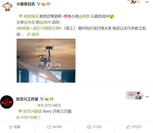 官方回应吃瓜视频,揭秘真相与澄清误解