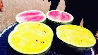 太和吃瓜谁爆料的,揭秘幕后爆料者身份