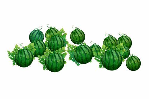 阿池吃瓜,揭秘娱乐圈幕后故事