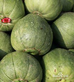 空腹可以吃瓜吗,健康饮食的误区解析